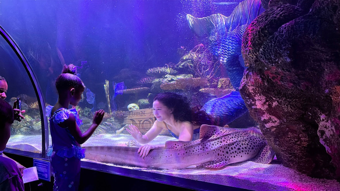 AquaMermaid mermaid performer waving at a young girl through aquarium tank glass