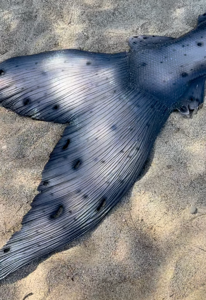 Holes and slits design add-on