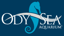 OdySea Aquarium logo